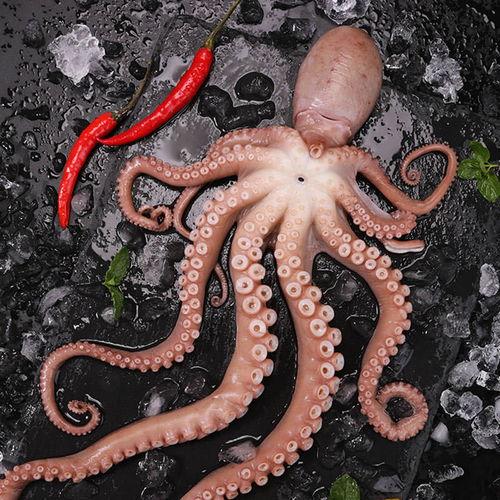 网红铁板章鱼足,火辣美食背后的传奇故事