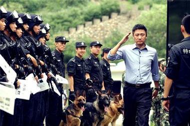 清网行动的背景,重塑网络安全，守护网络空间清朗