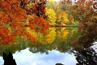 金色池塘图片,秋日美景的宁静画卷